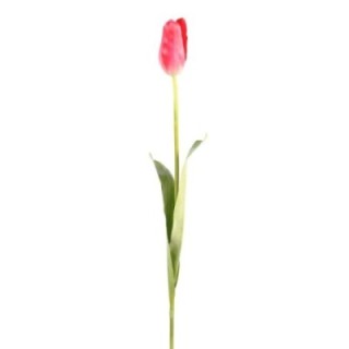 Künstliche Tulpe, pink, ca. 79cm hoch - Pflegeleicht!