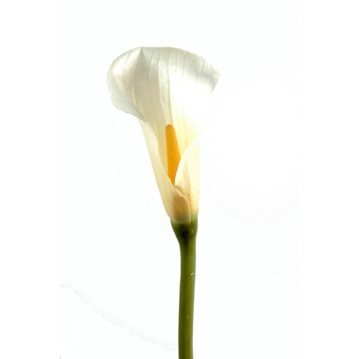 Künstliche Calla-Lilie, weiß, ca. 90cm hoch