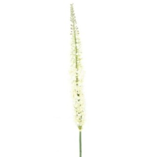 Künstlicher Eremurus, weiß, ca. 105cm hoch