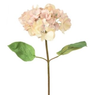 Künstliche Hortensie, pink-gelb, ca. 65cm hoch