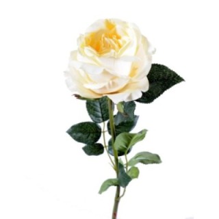Künstliche Rose, creme, ca. 80cm hoch – Pflegeleicht!