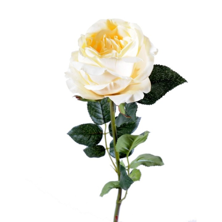 Künstliche Rose, creme, ca. 80cm hoch – Pflegeleicht!