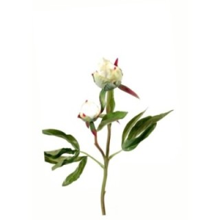 Künstliche Pfingstrose, weiß, ca. 40cm hoch