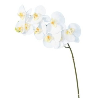 Künstliche Phalaenopsis, weiß, ca. 98cm hoch