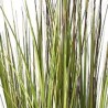 Künstliche Gräser